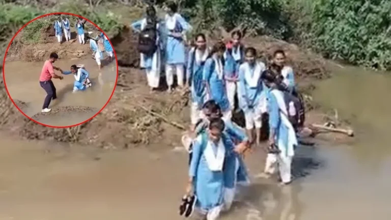 सागर में जान हथेली पर रखकर स्कूल जा रहीं छात्राएं! क्षतिग्रस्त पुलिया से नदी पार करने को मजबूर